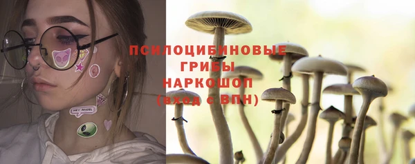 дурь Абаза