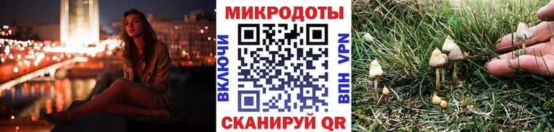 что такое   Лысково  Псилоцибиновые грибы мухоморы 